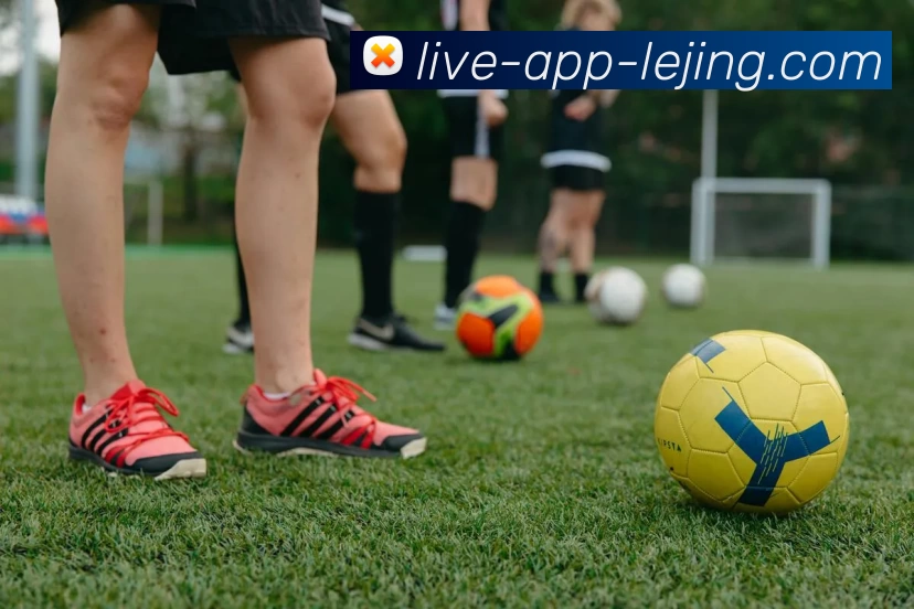 乐竞体育发展历程